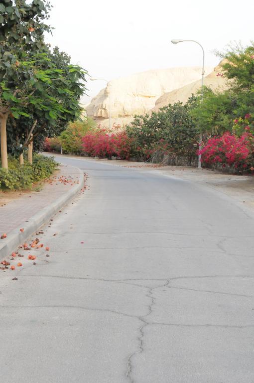 Dead Sea Dawn Villa Neot HaKikar Exterior photo